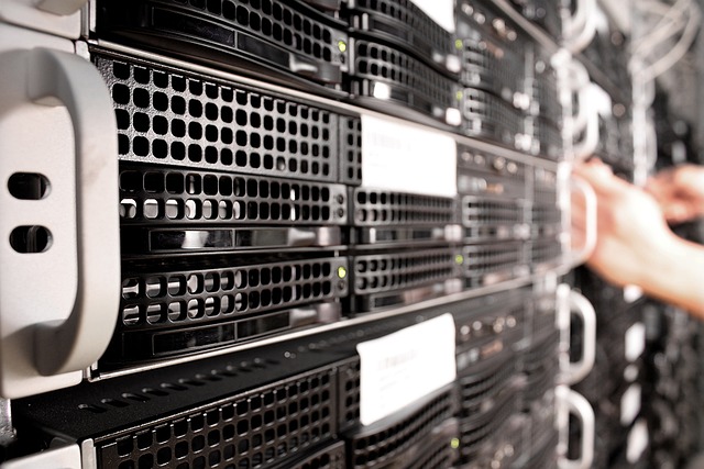 database developer