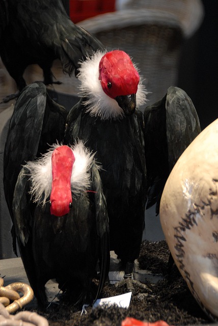 Hình ảnh minh họa ý nghĩa của từ daunting