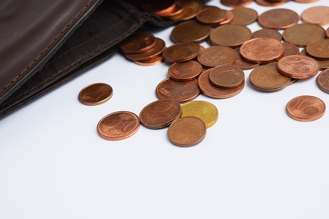 Hình ảnh minh họa ý nghĩa của từ debt management