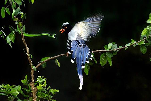 Hình ảnh minh họa ý nghĩa của từ decisive