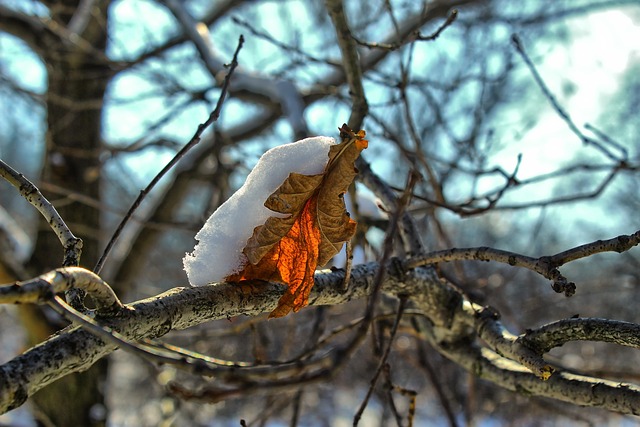 Hình ảnh minh họa ý nghĩa của từ decreases