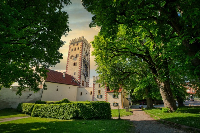 Hình ảnh minh họa ý nghĩa của từ defensive driving