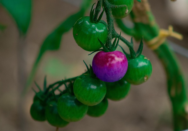 Hình ảnh minh họa ý nghĩa của từ deference