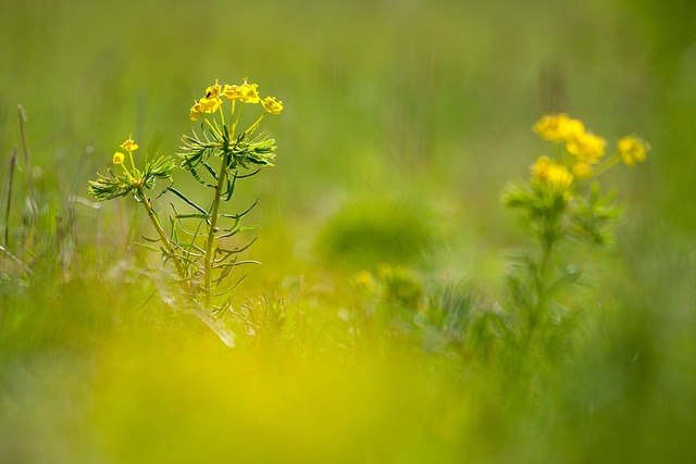 defocus