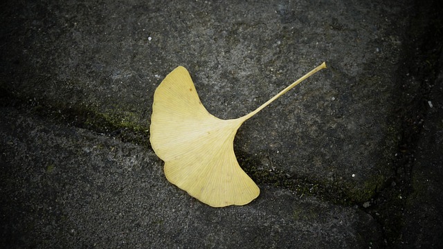 defoliant