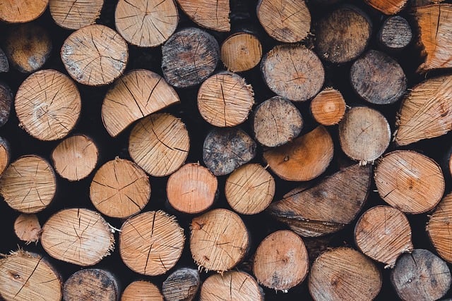 Hình ảnh minh họa ý nghĩa của từ deforested