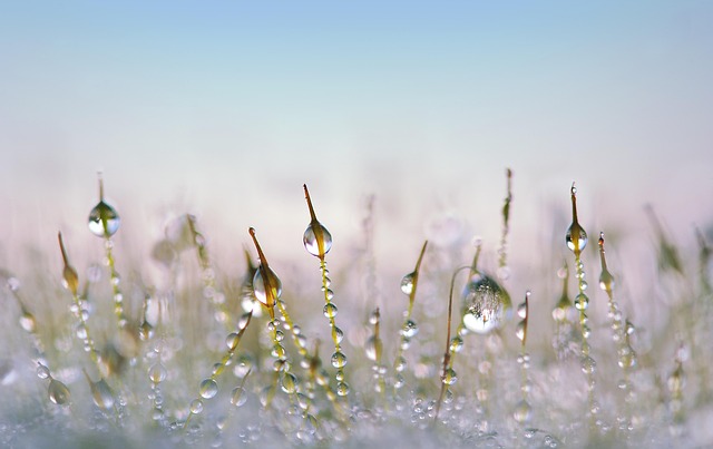 defroster