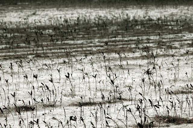 Hình ảnh minh họa ý nghĩa của từ degraded environment