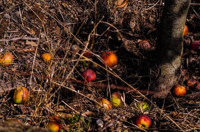 Hình ảnh minh họa ý nghĩa của từ degrading