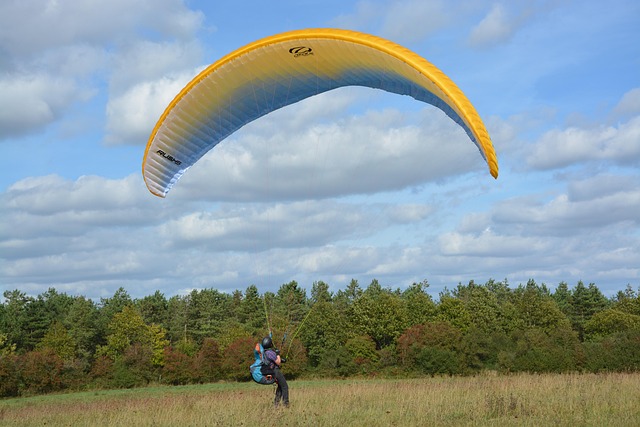 Hình ảnh minh họa ý nghĩa của từ delaying action