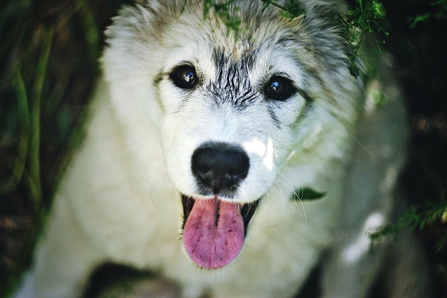 Hình ảnh minh họa ý nghĩa của từ delete