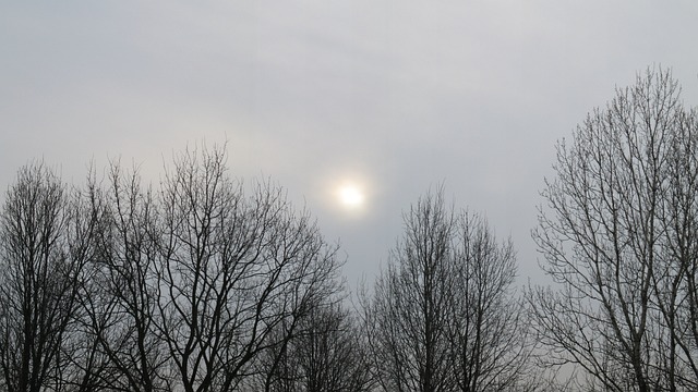 Hình ảnh minh họa ý nghĩa của từ delve into