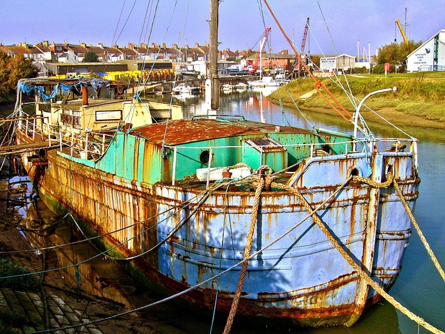 Hình ảnh minh họa ý nghĩa của từ depilation