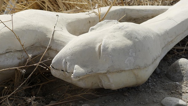 Hình ảnh minh họa ý nghĩa của từ depraved