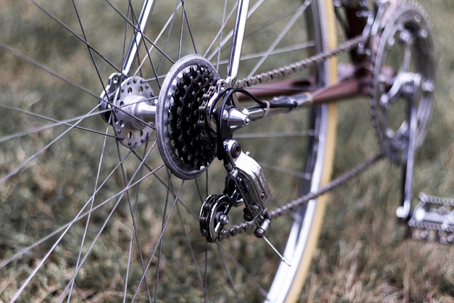 Hình ảnh minh họa ý nghĩa của từ derailleur