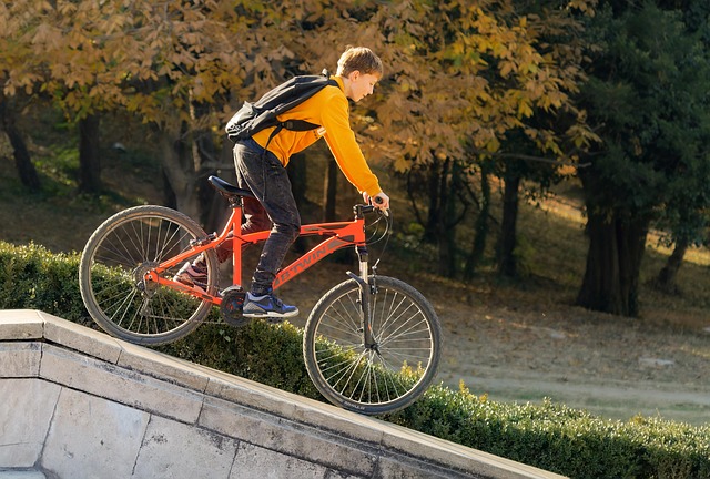 Hình ảnh minh họa ý nghĩa của từ descended