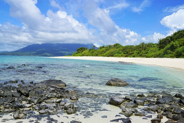 desert island