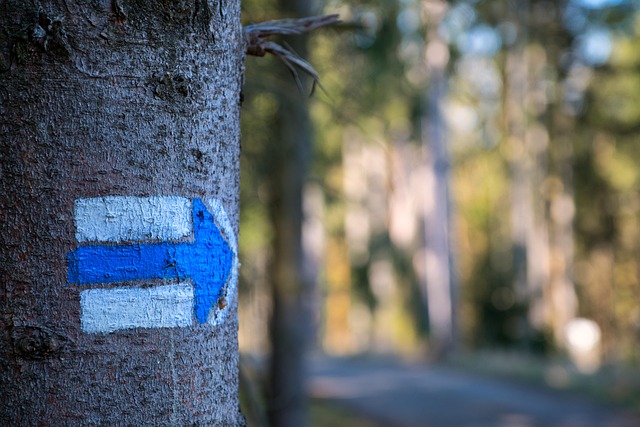 Hình ảnh minh họa ý nghĩa của từ designation