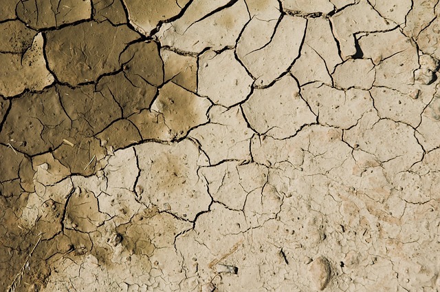 desolate region