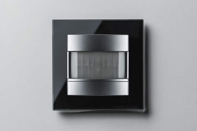 Hình ảnh minh họa ý nghĩa của từ detector