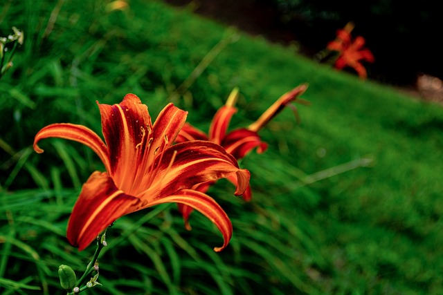 Hình ảnh minh họa ý nghĩa của từ deus ex machina