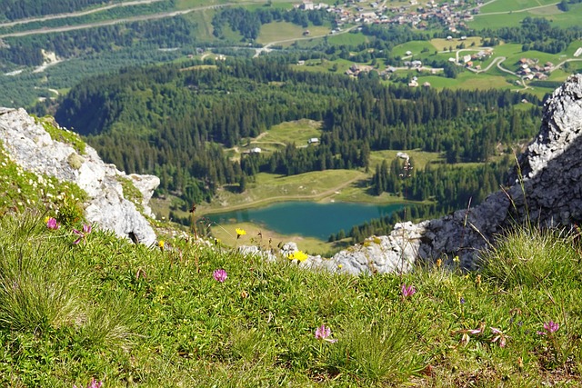 Hình ảnh minh họa ý nghĩa của từ developmental lag