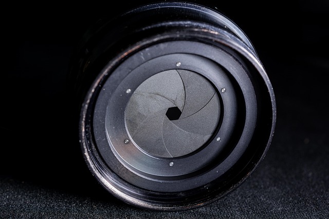 Hình ảnh minh họa ý nghĩa của từ diaphragm