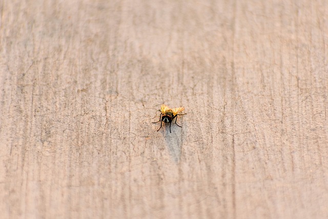 Hình ảnh minh họa ý nghĩa của từ diarrhea