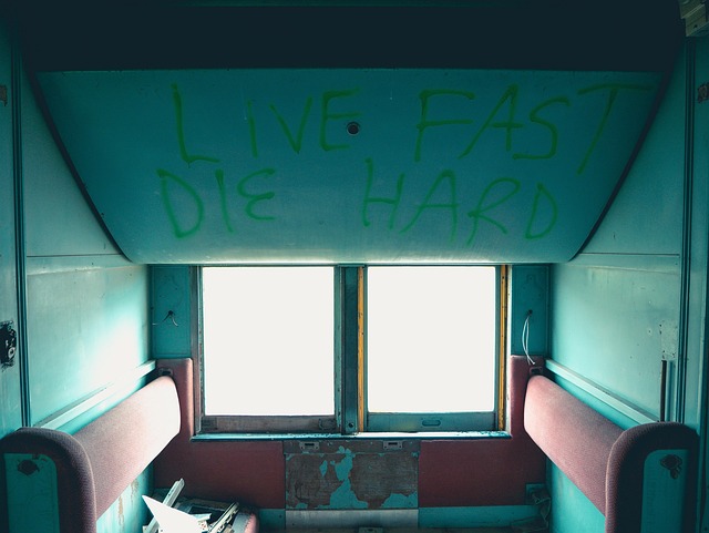 Hình ảnh minh họa ý nghĩa của từ die-hard