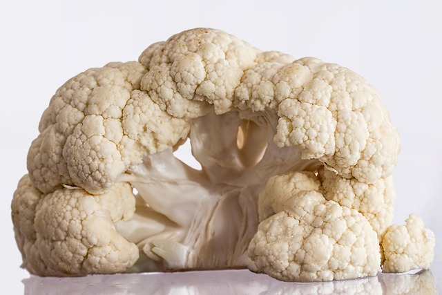 dietary fiber