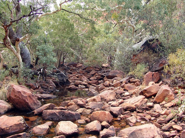 difficult path