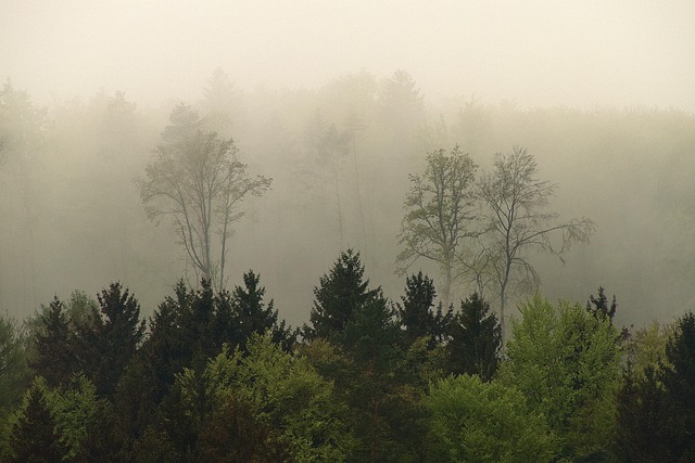 Hình ảnh minh họa ý nghĩa của từ diffuse