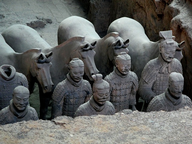 Hình minh họa desenterrar