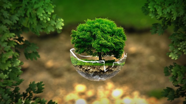 digital environment