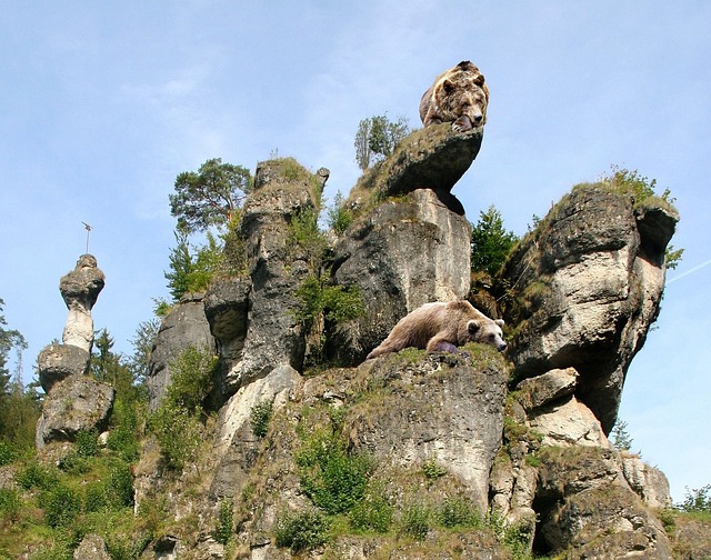 Hình ảnh minh họa ý nghĩa của từ digital image processing