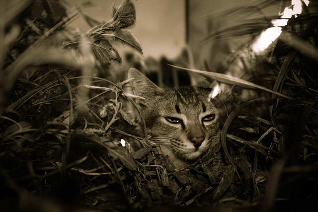 Hình ảnh minh họa ý nghĩa của từ dildo