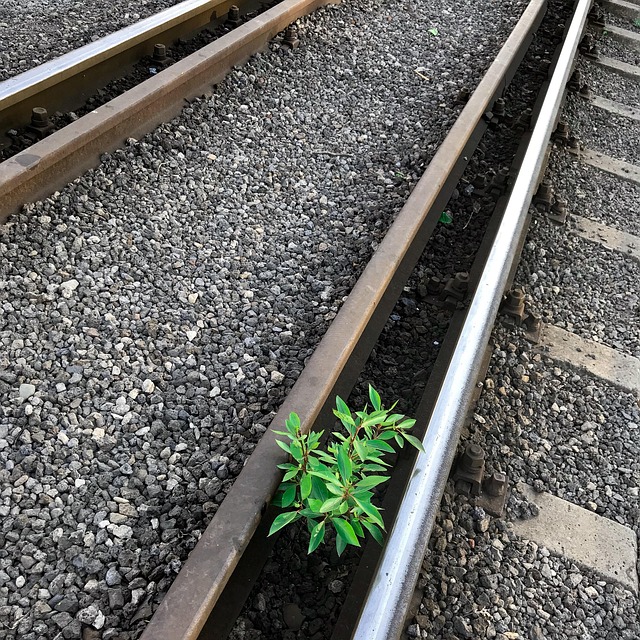 direct connection