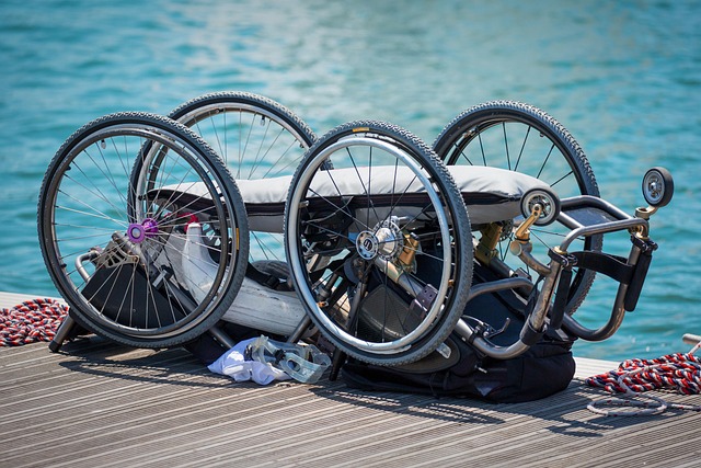 disabled assistance