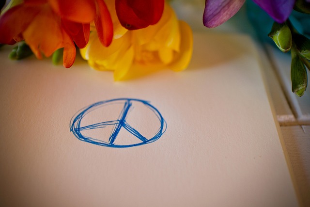 Hình ảnh minh họa ý nghĩa của từ disarmament