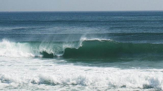 Hình ảnh minh họa ý nghĩa của từ discernible