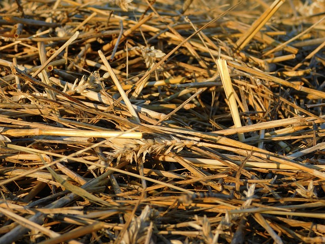 Hình ảnh minh họa ý nghĩa của từ disconnected from