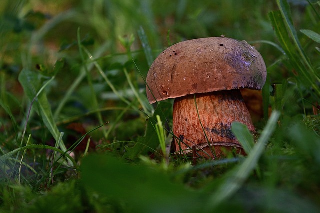 Hình ảnh minh họa ý nghĩa của từ discovered