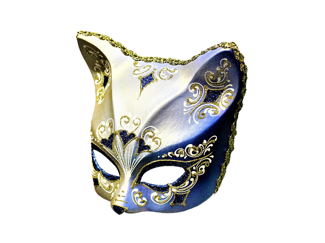 Hình ảnh minh họa ý nghĩa của từ disguise