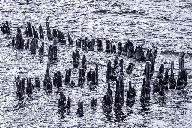 Hình ảnh minh họa ý nghĩa của từ disordered