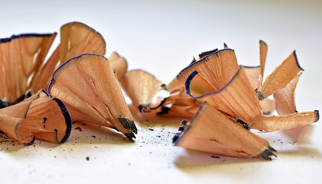 Hình ảnh minh họa ý nghĩa của từ disposability of life