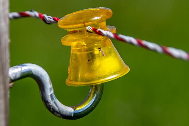 Hình ảnh minh họa ý nghĩa của từ dissipation