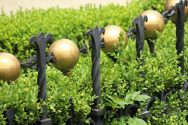 Hình ảnh minh họa ý nghĩa của từ distinction