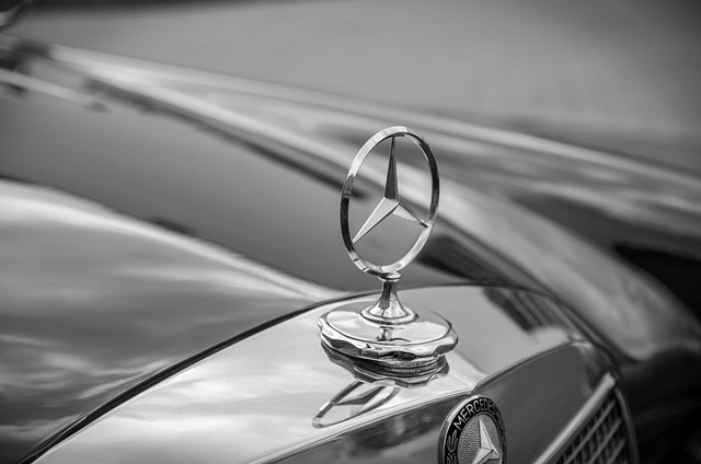 Hình ảnh minh họa ý nghĩa của từ distinguishable