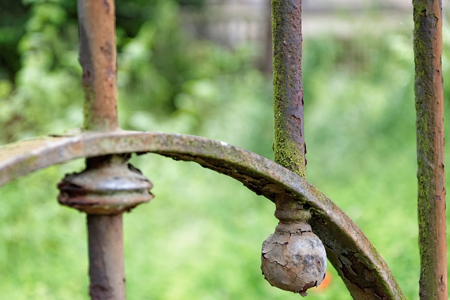 Hình ảnh minh họa ý nghĩa của từ distract