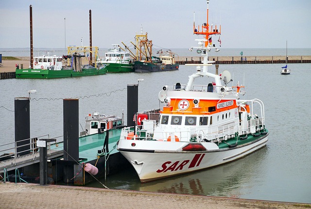 Hình ảnh minh họa ý nghĩa của từ distress signal